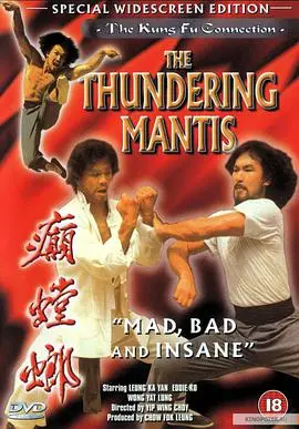 《癫螳螂》：当功夫遇上奇幻，一场脑洞大开的视觉盛宴！