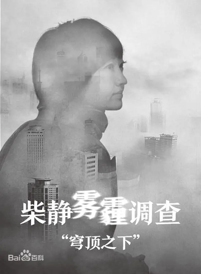 《柴静雾霾调查：穹顶之下》：一场关于空气的呐喊，直击环境危机的真实面貌，唤醒全民环保意识！