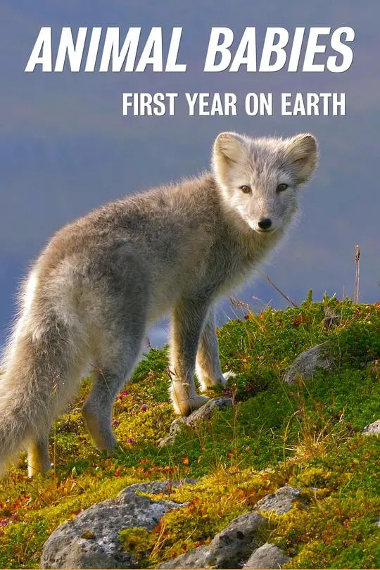 《萌宝出生第一年》：新手爸妈的成长必修课，记录生命奇迹与家庭幸福的温馨之旅